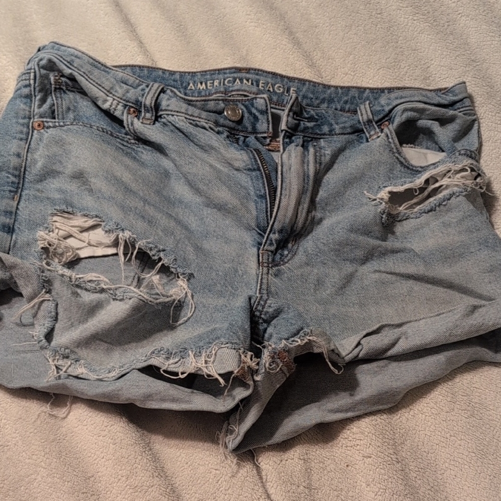American Eagle Outfitters Light Blue Ripped Jean Shorts